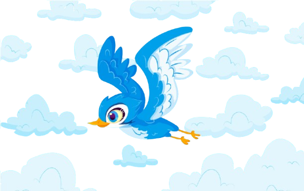 Entertainment Experience